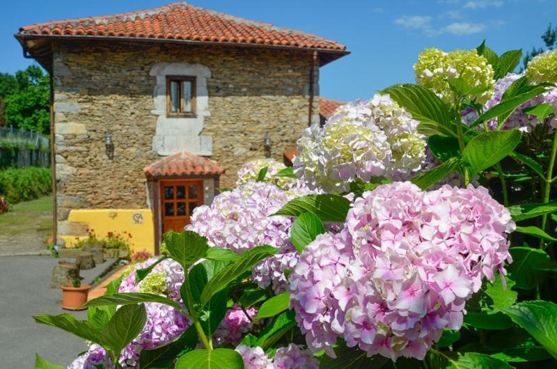 La AsturXana Hostal Malleza Exterior foto
